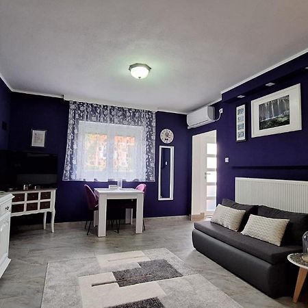 Studio Apartman Marta Korenica Extérieur photo