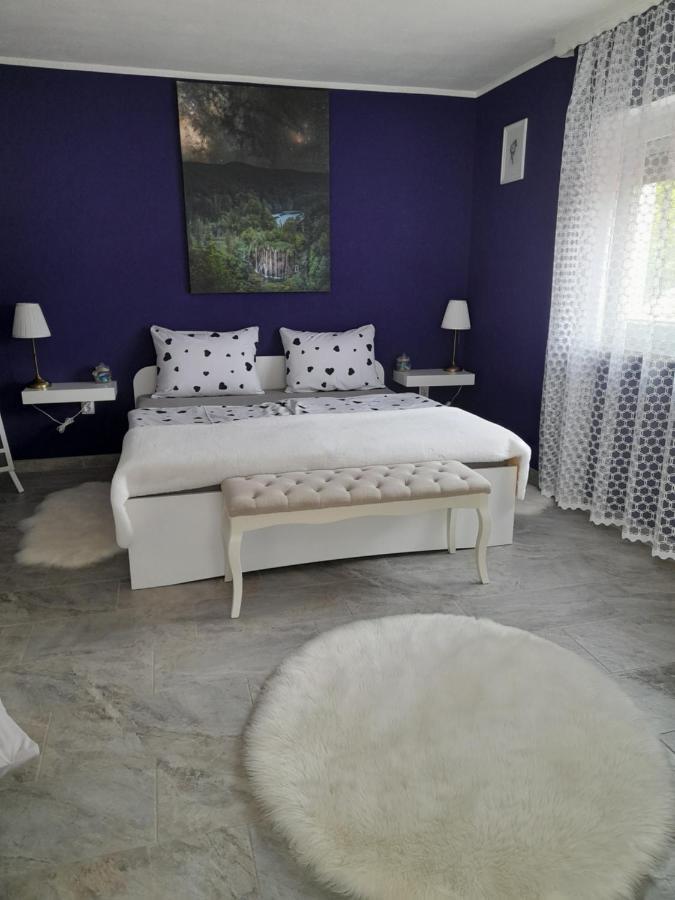 Studio Apartman Marta Korenica Extérieur photo