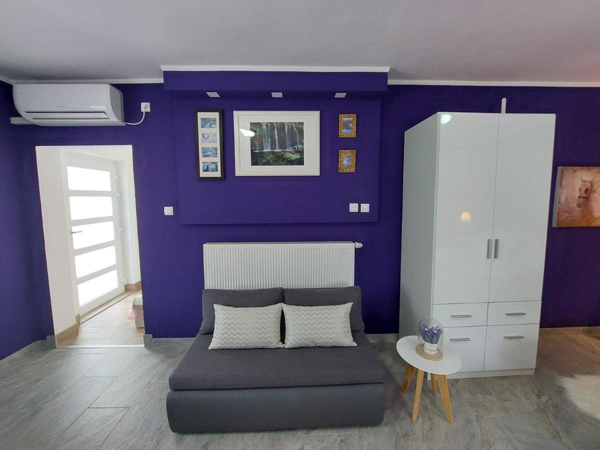 Studio Apartman Marta Korenica Extérieur photo