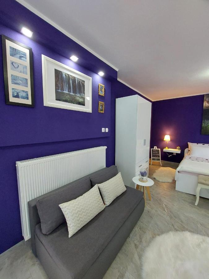 Studio Apartman Marta Korenica Extérieur photo