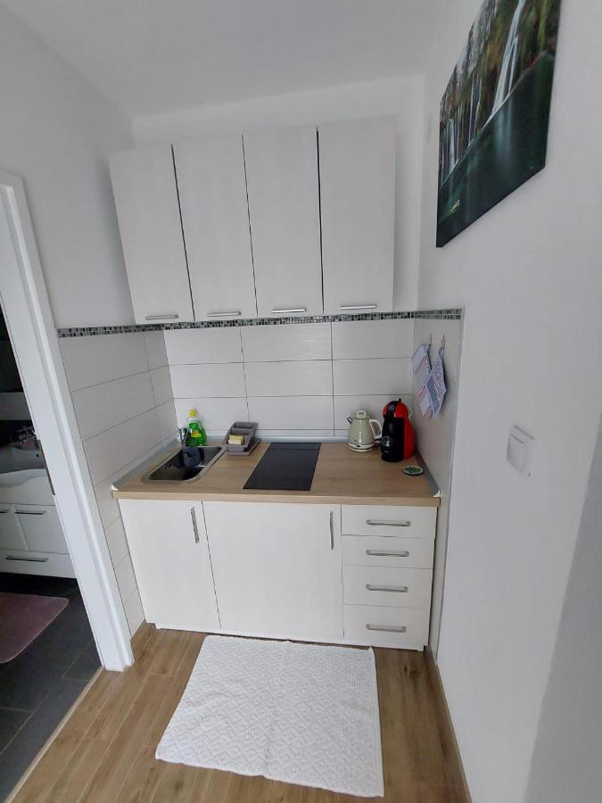 Studio Apartman Marta Korenica Extérieur photo