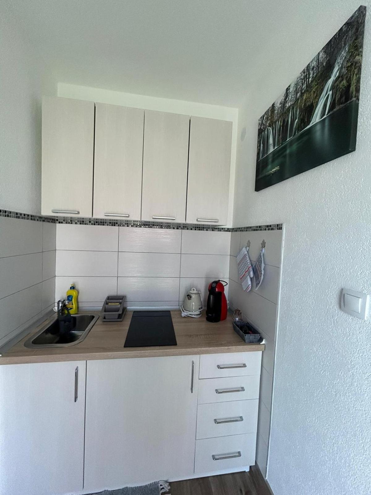 Studio Apartman Marta Korenica Extérieur photo